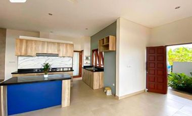 FOR SALE RUMAH VILLA BRAND NEW BUDUK DALUNG VIEW SAWAH DEKAT CANGGU