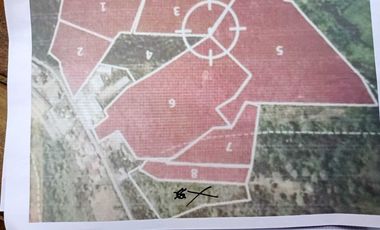 DIJUAL KEBUN KOPI DI KINTAMANI BANGLI