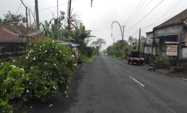 DIJUAL KEBUN KOPI DI KINTAMANI BANGLI