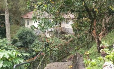 Villa Mewah Asri di Megamendung 3 kilo dari jalan raya Puncak