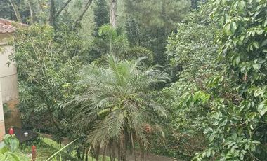Villa Mewah Asri di Megamendung 3 kilo dari jalan raya Puncak
