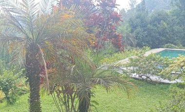 Villa Mewah Asri di Megamendung 3 kilo dari jalan raya Puncak