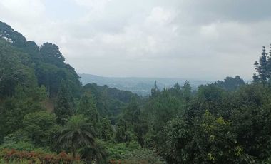 Villa Mewah Asri di Megamendung 3 kilo dari jalan raya Puncak