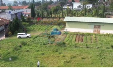 Jual Tanah & Gudang Di Padarincang, Palasari, Cipanas - Jawa Barat