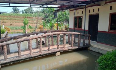 Rumah Villa Murah Tanah  Luas, Desa Sukawening Dramaga Kabupaten Bogor