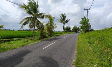 Disewakan tanah di Kaba - Kaba Tabanan dkt Seseh,Munggu Bali