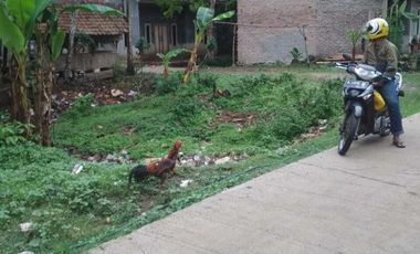 Tanah Kavling Murah Pinggir Jalan di Cisalam Baros