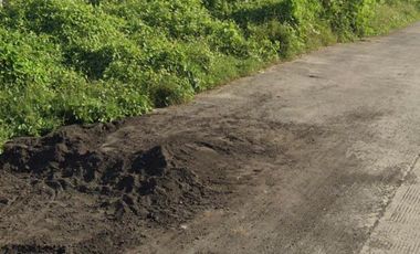 Tanah gunung anyar cck u gudang