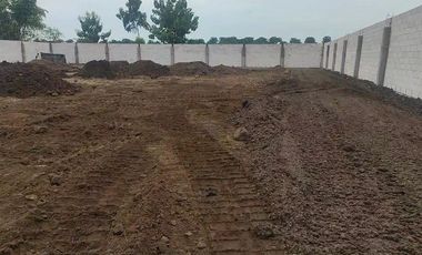 Raya legundi km 35 jetis