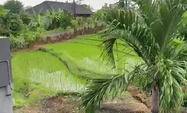 Rumah di area Gatot  Subroto barat view sawah dan ada Pool nya