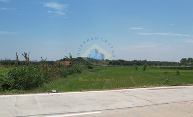 Jual Tanah di Padasuka, Warunggunung, Lebak - Banten