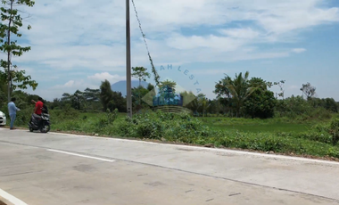 Jual Tanah di Padasuka, Warunggunung, Lebak - Banten