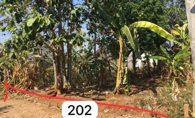 Tanah Murah pongangan cocok buat  kos gunungpati