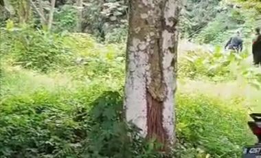 disewakan tanah di tangerang selatan