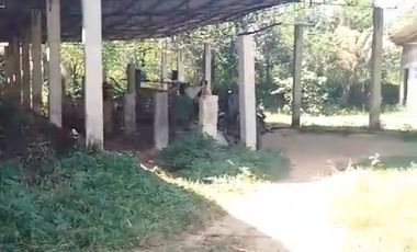 Tanah kebun durian,kandang sapi, kolam ikan Purwanegara Banjarnegarag