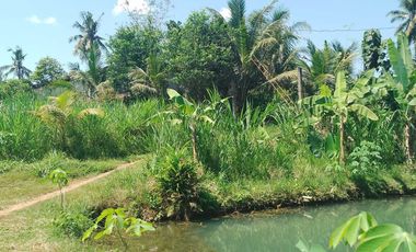 Tanah kebun durian,kandang sapi, kolam ikan Purwanegara Banjarnegarag