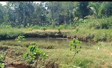 Tanah kebun durian,kandang sapi, kolam ikan Purwanegara Banjarnegarag
