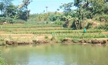 Tanah kebun durian,kandang sapi, kolam ikan Purwanegara Banjarnegarag