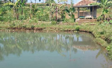 Tanah kebun durian,kandang sapi, kolam ikan Purwanegara Banjarnegarag