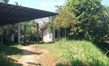 Tanah kebun durian,kandang sapi, kolam ikan Purwanegara Banjarnegarag