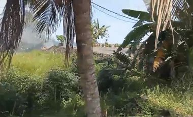 Raya denpasar gilimanuk beachfront