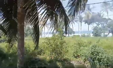 Raya denpasar gilimanuk beachfront