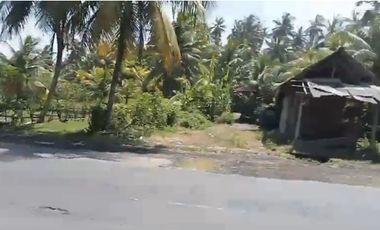 Raya denpasar gilimanuk beachfront