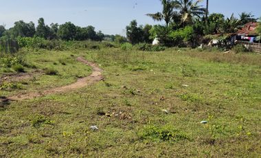 Disewakan Tanah 2500 m2 dekat Lippo Cikarang Bekasi