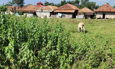 Disewakan Tanah 2500 m2 dekat Lippo Cikarang Bekasi