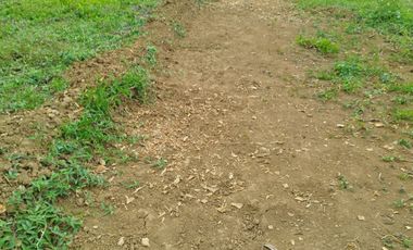 Tanah murah ungaran barat samping SMP3 ungaran harga promo