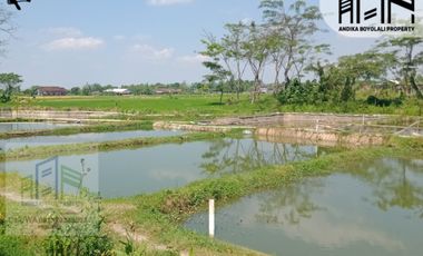 Rumah dekat alun alun dengan pemandangan sawah di banyudono boyolali
