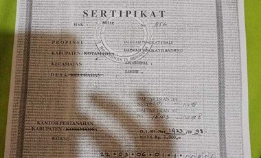 Dijual Tanah Kavling Murah Lokasi Sangeh Abiansemal Badung Bali