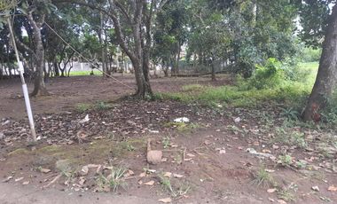 Tanah Pinggir Jalan Di Nyapah Walantaka