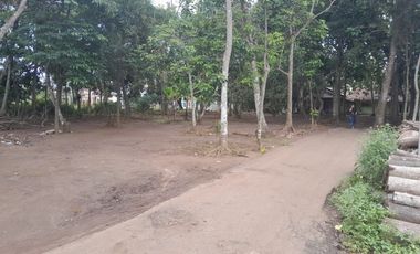 Tanah Pinggir Jalan Di Nyapah Walantaka