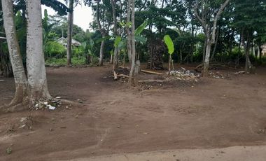 Tanah Pinggir Jalan Di Nyapah Walantaka