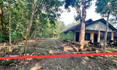 Jual Rumah Murah Bonus Tanah di Kawasan Wisata Goa Pindul Gunungkidul