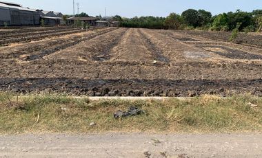 Raya domas menganti gresik