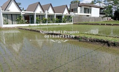 Dijual Tanah Premium Luas 980 m2 di Lodtunduh Ubud