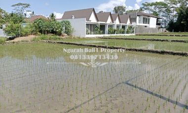 Dijual Tanah Premium Luas 980 m2 di Lodtunduh Ubud