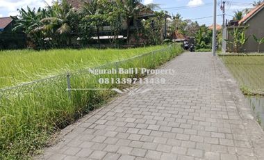 Dijual Tanah Premium Luas 980 m2 di Lodtunduh Ubud