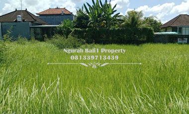 Dijual Tanah Premium Luas 980 m2 di Lodtunduh Ubud