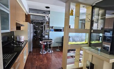 Best unit waterplace 48JT 2BR PLUS GiLA! No orchard tanglin anderson