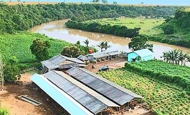 Lahan Di Labangka Sumbawa Nusa Tenggara Barat