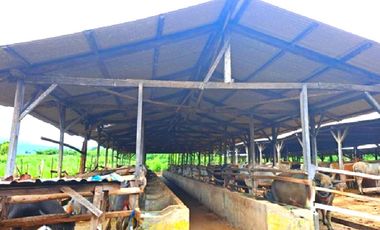 Lahan Di Labangka Sumbawa Nusa Tenggara Barat