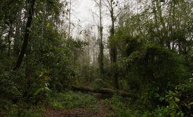 Vendo Parcela en Aldea Molco-