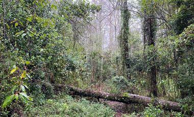 Vendo Parcela en Aldea Molco-