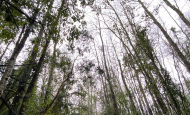 Vendo Parcela en Aldea Molco-