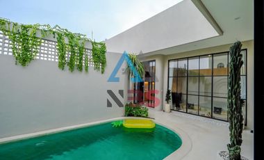 FREEHOLD FOR SALE NEW BRAND VILLA KEDUNGU TABANAN BALI