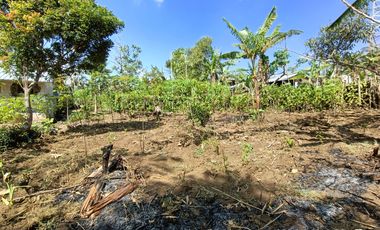 Murah  BU Tanah kosong strategis kompleks pasar Pulosari Pemalang