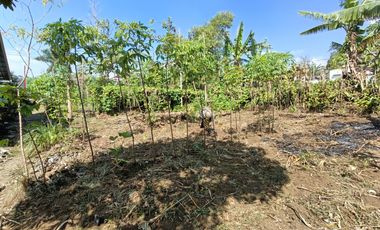 Murah  BU Tanah kosong strategis kompleks pasar Pulosari Pemalang